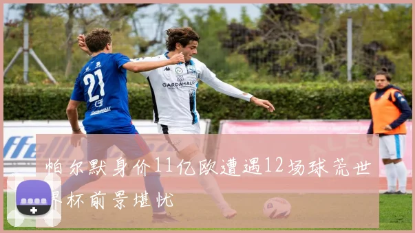 帕尔默身价11亿欧遭遇12场球荒世界杯前景堪忧